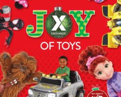 AAFES Toy Book