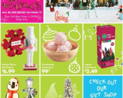Big Lots Holiday Guide 2024