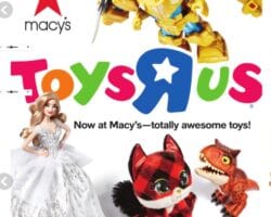 Macy's Toy Book 2021 Ad