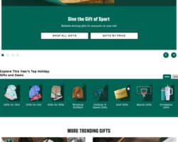 Dick's Sporting Goods Holiday Gift Guide 2024