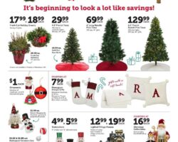 Christmas Tree Shops Black Friday Ad 2021