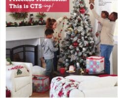 Christmas Tree Shops Black Friday 2022 Ad Sale