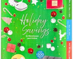 Costco Black Friday Ad 2024