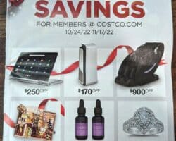 Costco Early Black Friday 2022 Sale