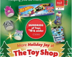 Family Dollar Toy Book 2024