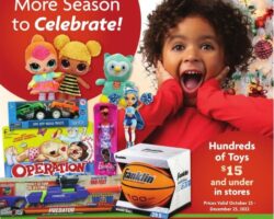 Family Dollar Toy Book 2022