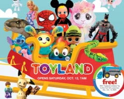 Fleet Farm Toyland Catalog 2024