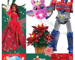 Meijer Holiday Gift Guide 2024