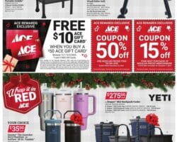 Ace Hardware Black Friday Sale 2024