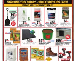Blain's Farm & Fleet Pre-Black Friday Sales Ad 2024