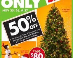 Big Lots Black Friday 3-Day Deal 2022
