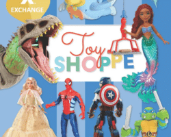 AAFES Toy Book 2023