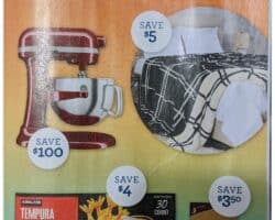 Costco Early Black Friday 2023 Sale