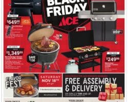 Ace Hardware Black Friday Sale Ad 2023