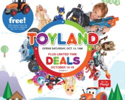 Fleet Farm Toyland Deals Catalog 2023