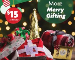 Family Dollar Holiday Gift Guide 2025