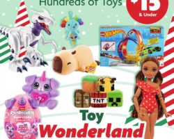 Family Dollar Holiday Toy Book 2025