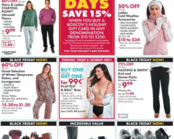 Boscov’s Pre-Black Friday Ad Sale 2023
