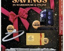 Costco Black Friday Ad 2025