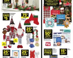 Dollar General Black Friday 2023 Ad Sa