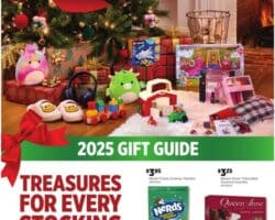 Dollar General Holiday Gift Guide 2025