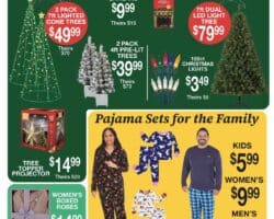 Big Lots Black Friday Sale Ad 2025