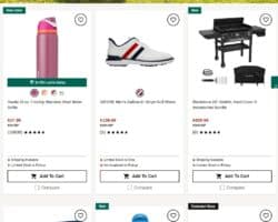 Dick’s Ad Sale