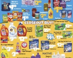 Big Lots Store Weekly Ad
